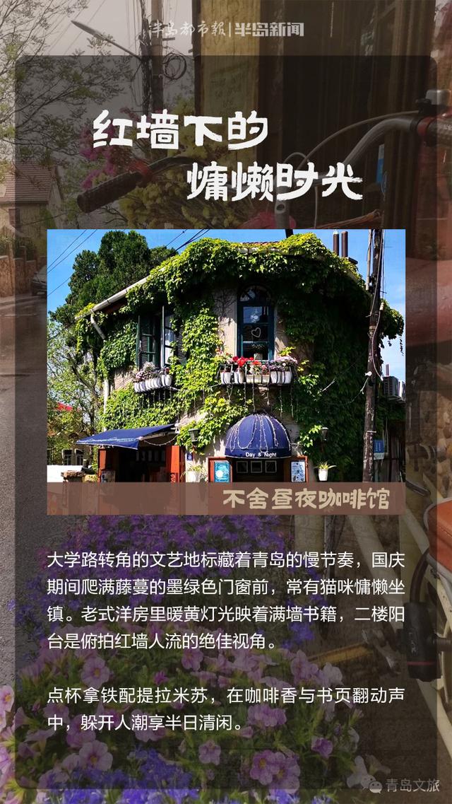 这里是青岛｜假日，青岛的山海、老建筑与市井里的啡香密码