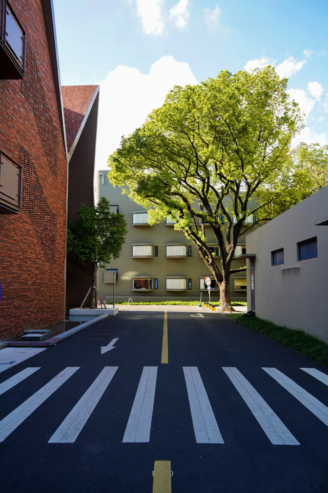 旅超·域见宝山｜宝山区大场镇都市微游路线全攻略，六大场景玩到尽兴！