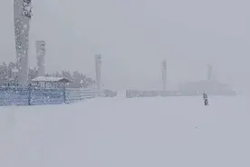 烟台积雪深达52厘米破历史纪录，种植合作社：暴雪持续果树将减产损失几十万图片