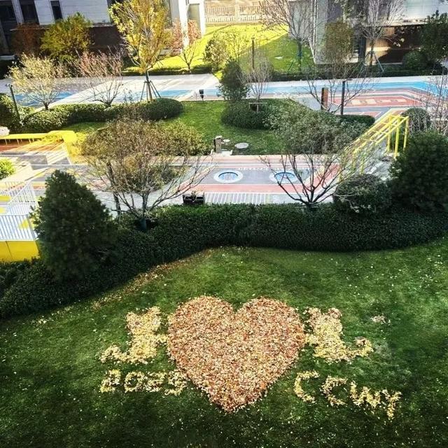 冬已至，秋未远，再赏一波王四营的秋——