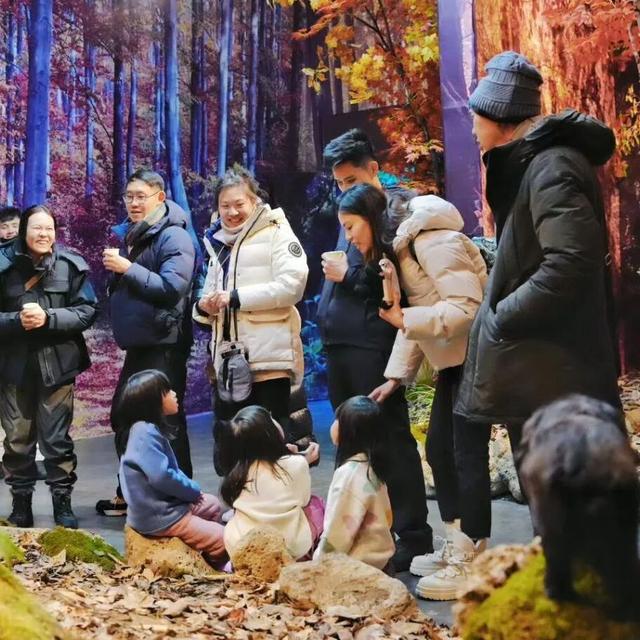 元旦安图头山村，凭啥人气爆棚？