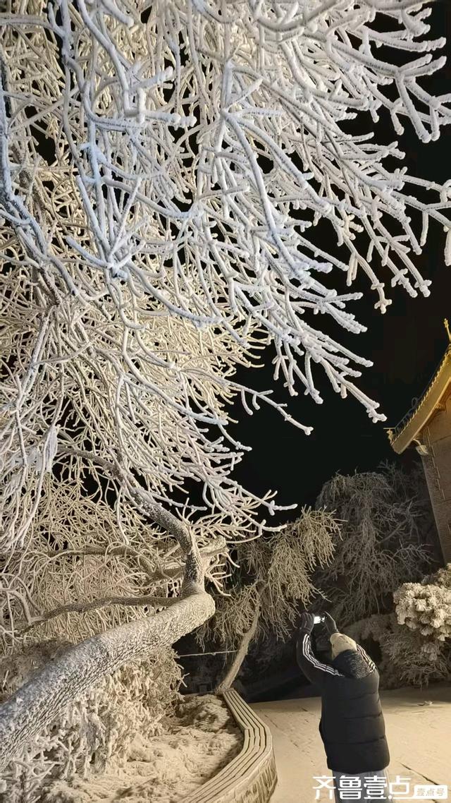 泰山雾凇的梦幻之夜