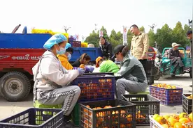 中国电信渭南分公司助力乡村振兴系列报道之一 ——数智升级，乐享乡村智慧新生活图片