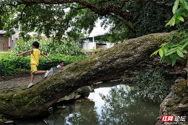 跟着网友游广西古村丨在富川秀水状元村，遇见童年与乡愁