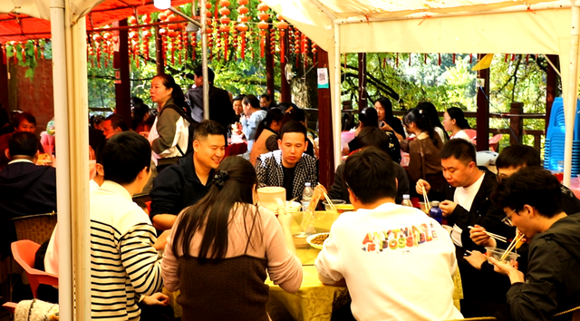 双牌：银杏黄 乡村火 “风景”变“产业”