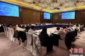 新型网络谣言“刺痛”游戏行业 多方联合在沪发布倡议应对“皮套论”图片