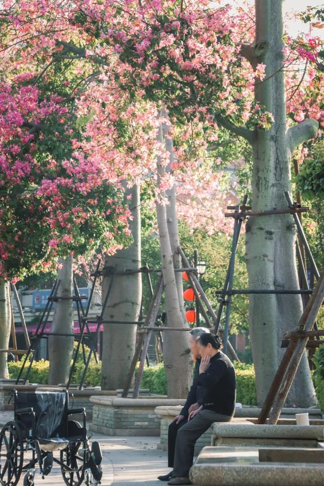 冬日暖阳里，来丰泽这儿享受惬意时光……