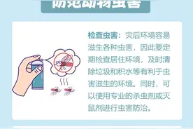 【科普动起来】灾后重建，这些注意事项要牢记图片