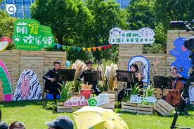 森林剧场的露天舞台，奏响一台特别的萌宠音乐会图片