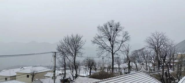 雪景美图来了！京郊赏雪宝藏线路，解锁冬日限时浪漫