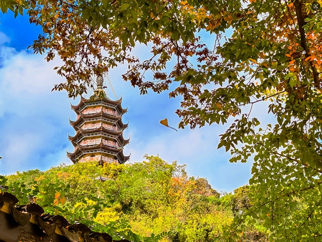 镇江，你变了！