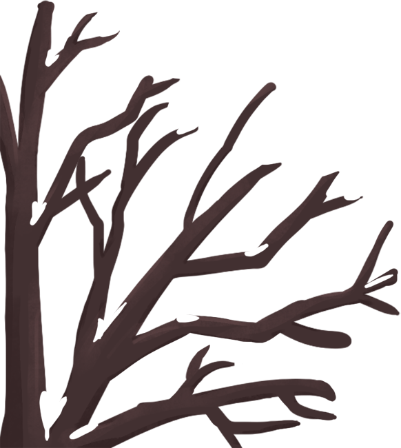 与冬天的约会从一场温泉开始......