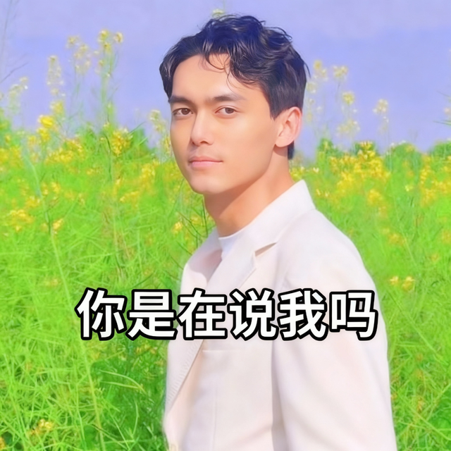 终于有个视频Agent能做三人同屏对口型了，这次商汤Seko上大分