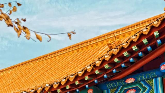 滨州一小岛对外开放！