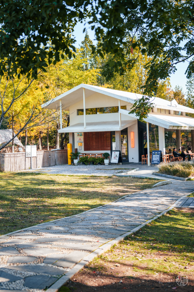 降温了，躲进东湖暖咖，独享封神秋景！