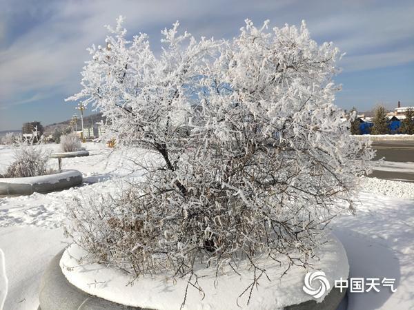 沙漠也有雾凇？全国雾凇地图出炉 四大场景解锁别样冰雪奇缘