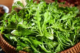 春天的时令风味：一口吃下一个春天图片