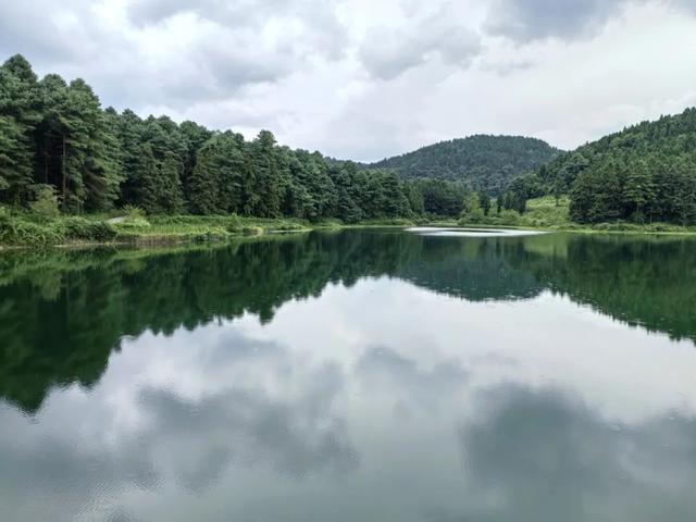 扎佐林场：盘活“凉”资源 打造农旅一体化的森林“秘境”