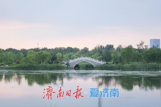 一年四季 泉在济南丨水清岸绿、草木葱茏！初秋华山湖畔诗意浓
