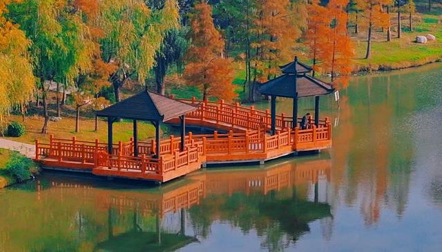 商视界｜柘城容湖初冬如画