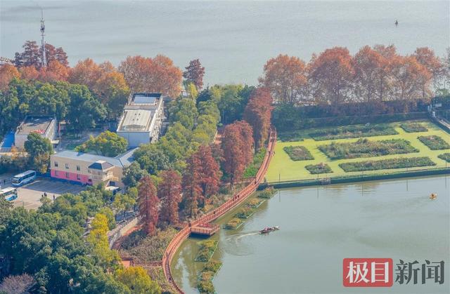 暖阳催彩叶，世界东湖初冬盛景已上线