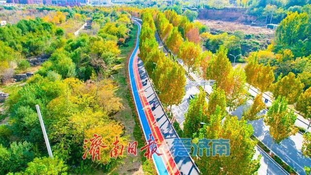 一年四季 泉在济南丨兴仲路林荫绿道初冬绘彩卷