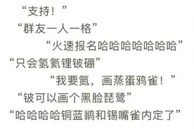 门捷列夫都没想到！一群观鸟爱好者为元素周期表“搭配”了118种小鸟，在全球鸟圈火了图片