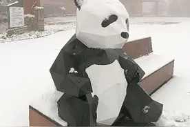 西岭雪山下雪了图片
