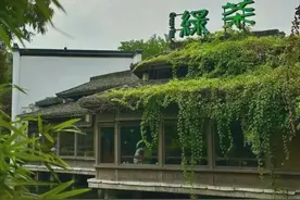 韩国游客特“特种兵”式游杭州 这几个地方他们超爱！图片