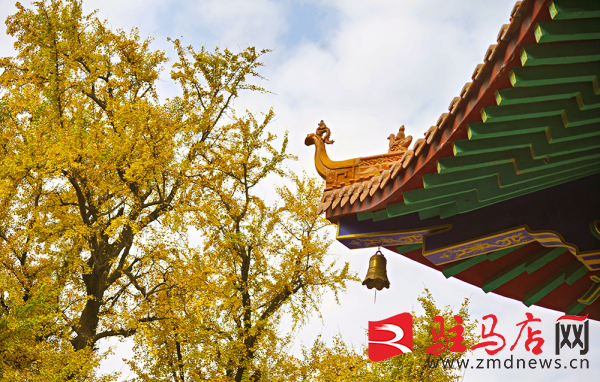 陪游北泉寺：一场与岁月的温情邂逅