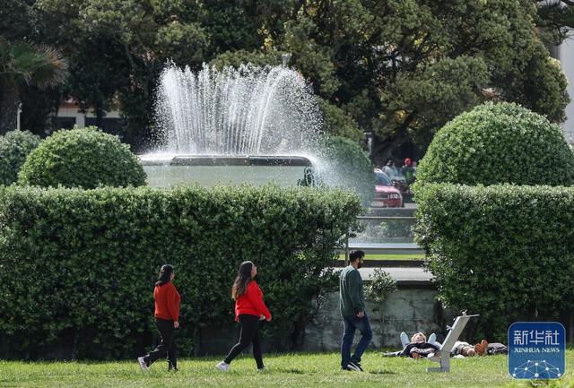 新西兰内皮尔掠影