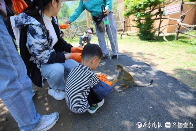 趣玩不停歇！济南野生动物世界金秋宠粉活动开启
