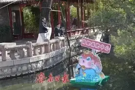 趵突泉的锦鲤变成“猪鲤”，目前已开始减肥，专家：锦鲤怀孕了图片