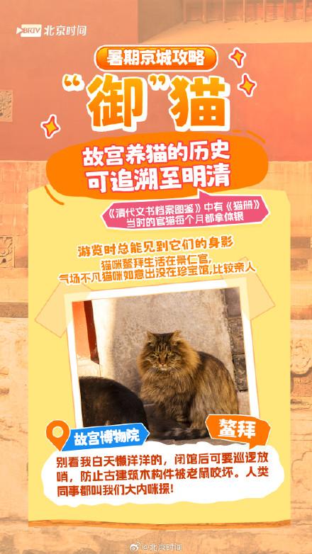 北京网红动物大盘点