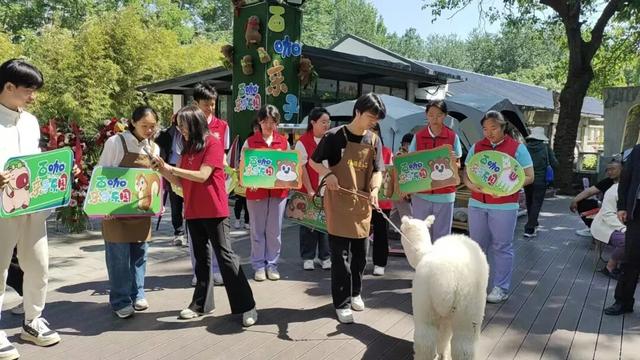 市民游客乐享节日公园新场景济南“公园 +”模式点亮假期生活