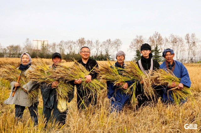 西海岸三家博物馆入选省级名录！藏着陶瓷、贝壳与乡愁的宝藏地，等你来探