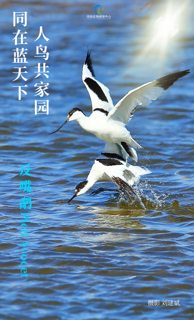2025西安航空航天体验消费嘉年华7月18日盛大来袭！