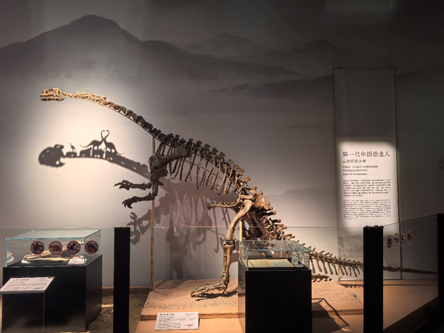 收藏！沪上各大博物馆马年春节观展攻略→