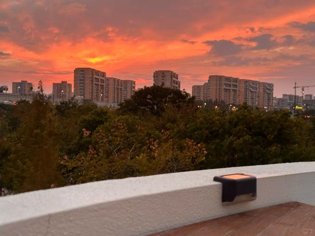 红叶+落日！普陀这几处宝藏打卡地美翻啦！