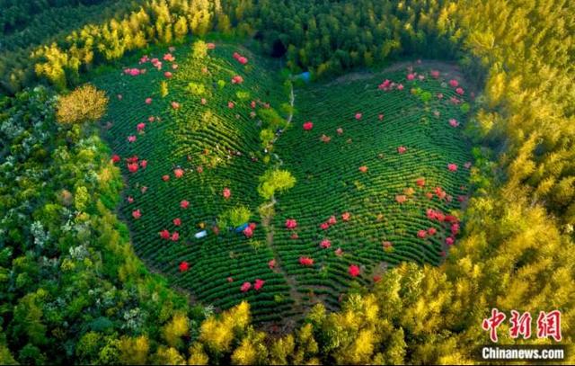 人这一辈子，一定要去一趟广德！