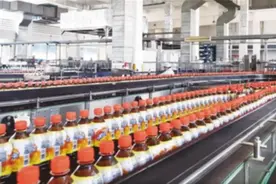 南阳市宛城区：扎根沃土饮料产业加速壮大图片