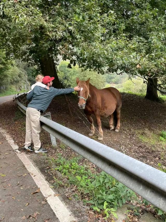 西班牙旅行随笔之坎塔布里亚（下）