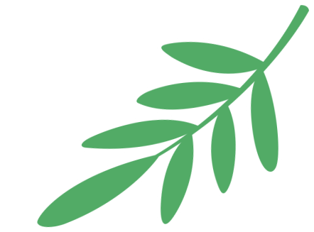 在增城，邂逅一场慢旅行！