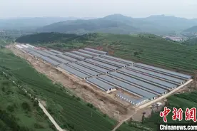 （乡村行·看振兴）小肉鸭带北疆小村镇走上致富路图片