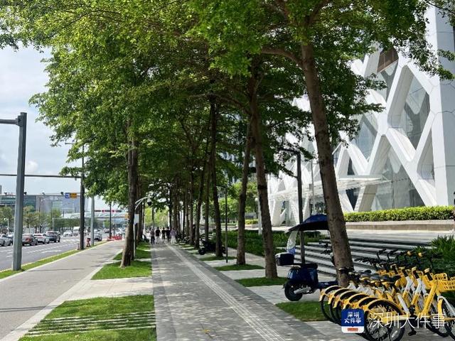 从穿过一条路，到停留一片景 宝安解题“城市为谁而建”