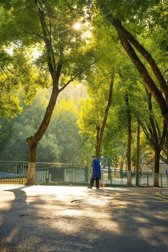 最好的秋天，在华师！