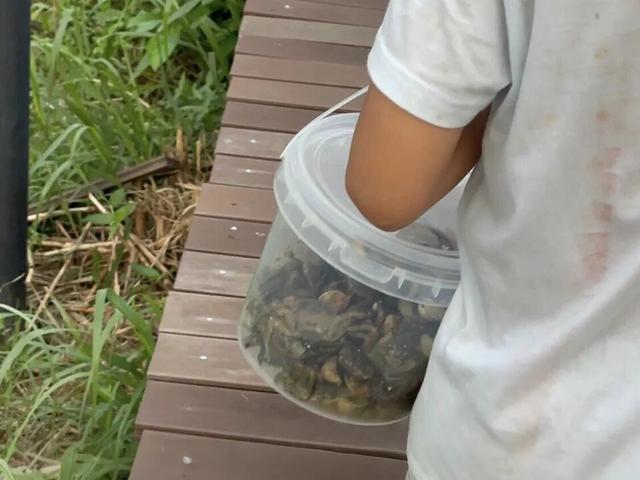 门票免费送！四会禾风稻田农场童玩节即将开启