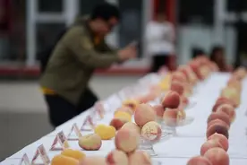 第二届平谷丫髻山丰收季启幕，年度“大桃王”诞生图片