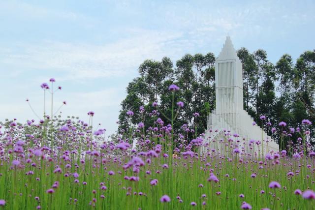 偶遇演员金晨、孙阳！来里水贤鲁岛打卡同款→