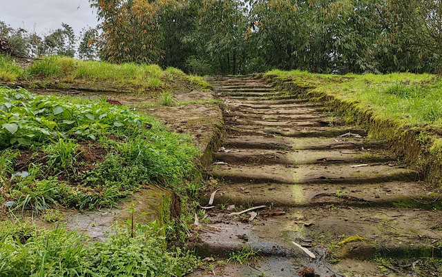 何以重庆｜烟火荣昌